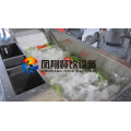 Multi-Funcion Gemüse Washer Waschmaschine mit CE zertifiziert